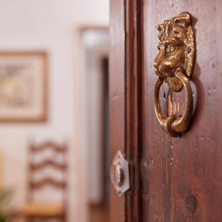 Apartmán La Mi Casa A Pisa Exteriér fotografie